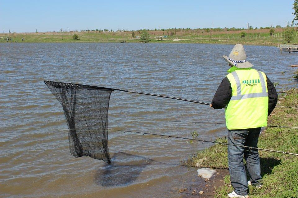 La Greaca Cercani in familie - 5768293949983571871961324958804n.jpg